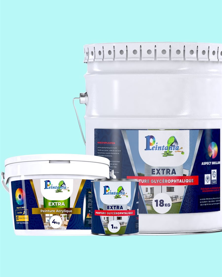Peintures Peintania Extra : pots et seau de 1 à 18 kg