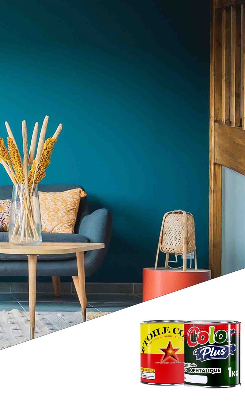 Salon repeint en bleu canard, avec pots Etoile Color et Color Plus